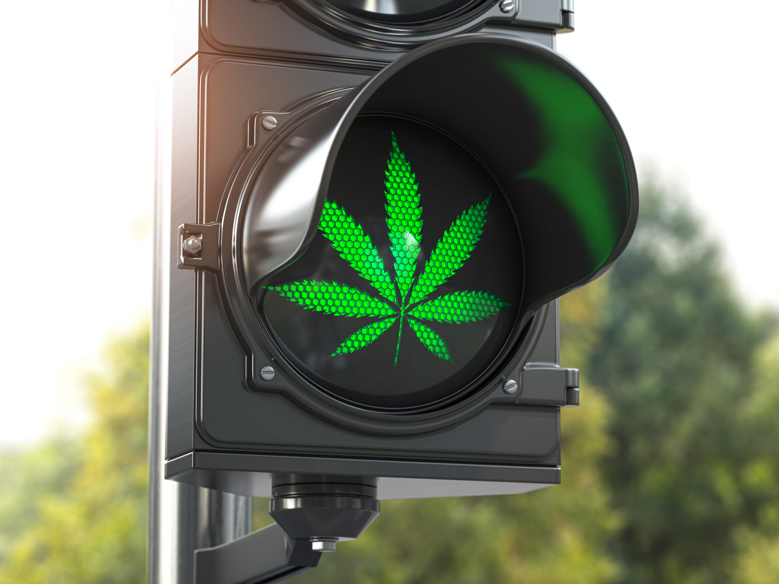 CBD im Monopol – der Status Quo