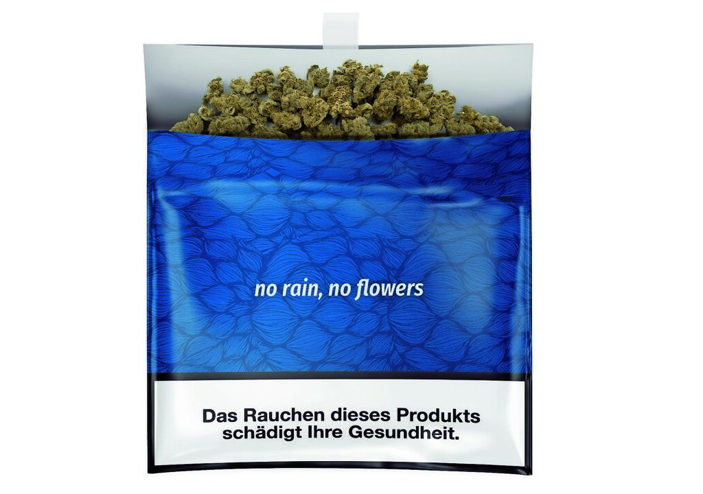 Kleine Buds, großer Genuss