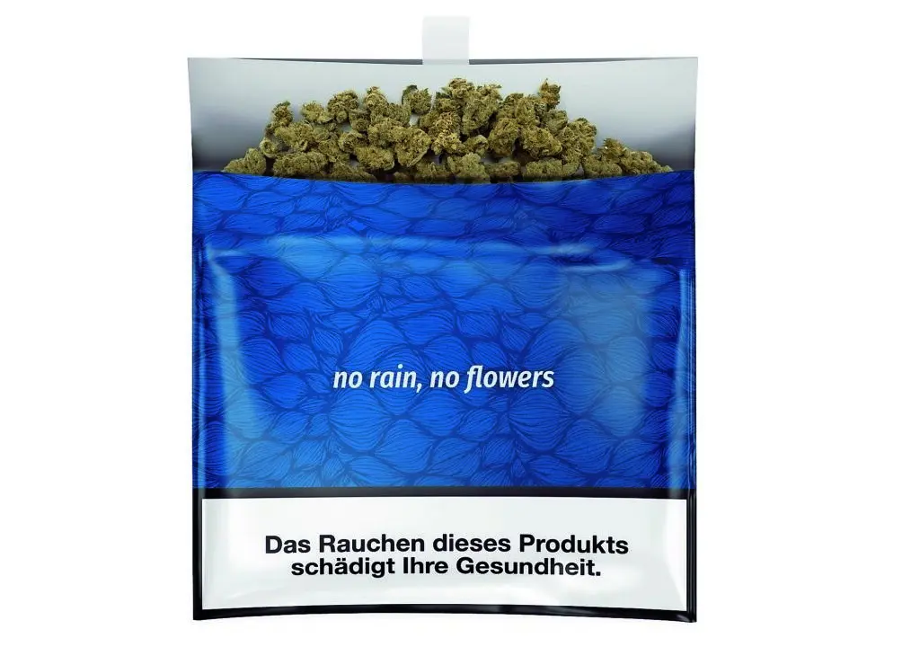 Kleine Buds, großer Genuss